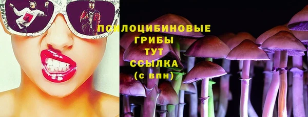 PSILOCYBIN Богородицк