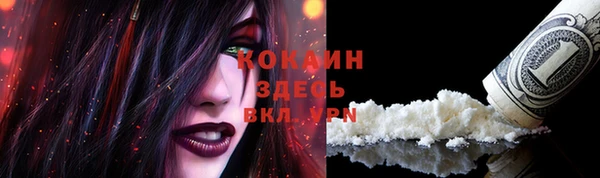 бошки Богданович