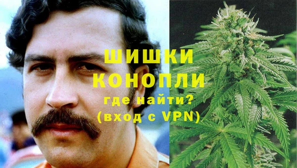PSILOCYBIN Богородицк