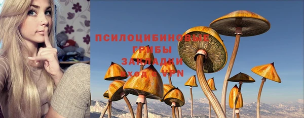 бошки Богданович