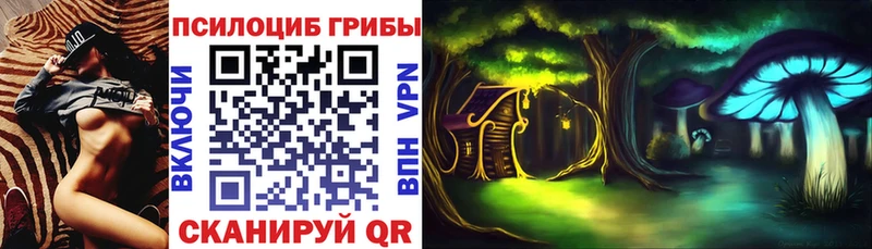 Галлюциногенные грибы MAGIC MUSHROOMS  продажа наркотиков  Екатеринбург 